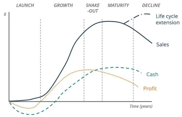 life cycle of a business